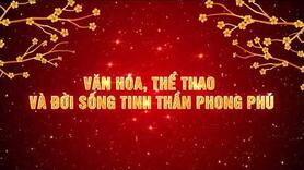 TUY AN - VĂN HOÁ, THỂ THAO VÀ ĐỜI SỐNG TINH THẦN PHONG PHÚ